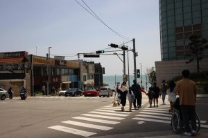 Traveling for Literature: Bookstores Worth Crossing Oceans