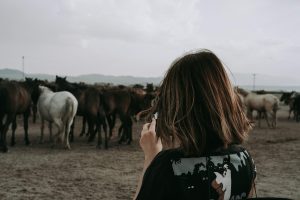 Photographing Wildlife Without Leaving a Trace