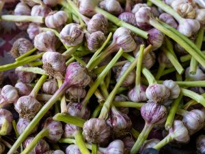 Cooking with Whole Grains for Better Health