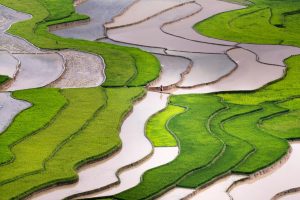 How to Travel Sustainably Without Sacrifice