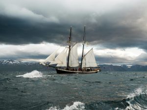 Cruise Ship Jobs with Stories to Tell