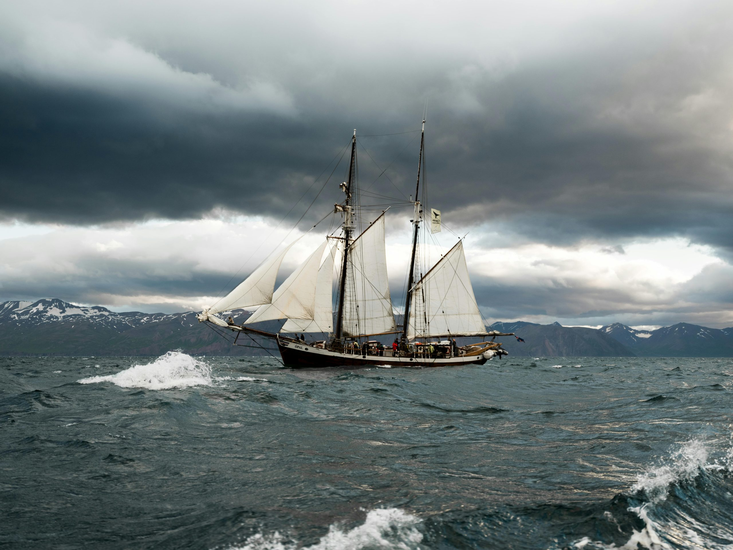 Cruise Ship Jobs with Stories to Tell