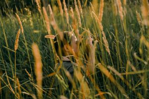 Field Trips: Learning Beyond School Walls