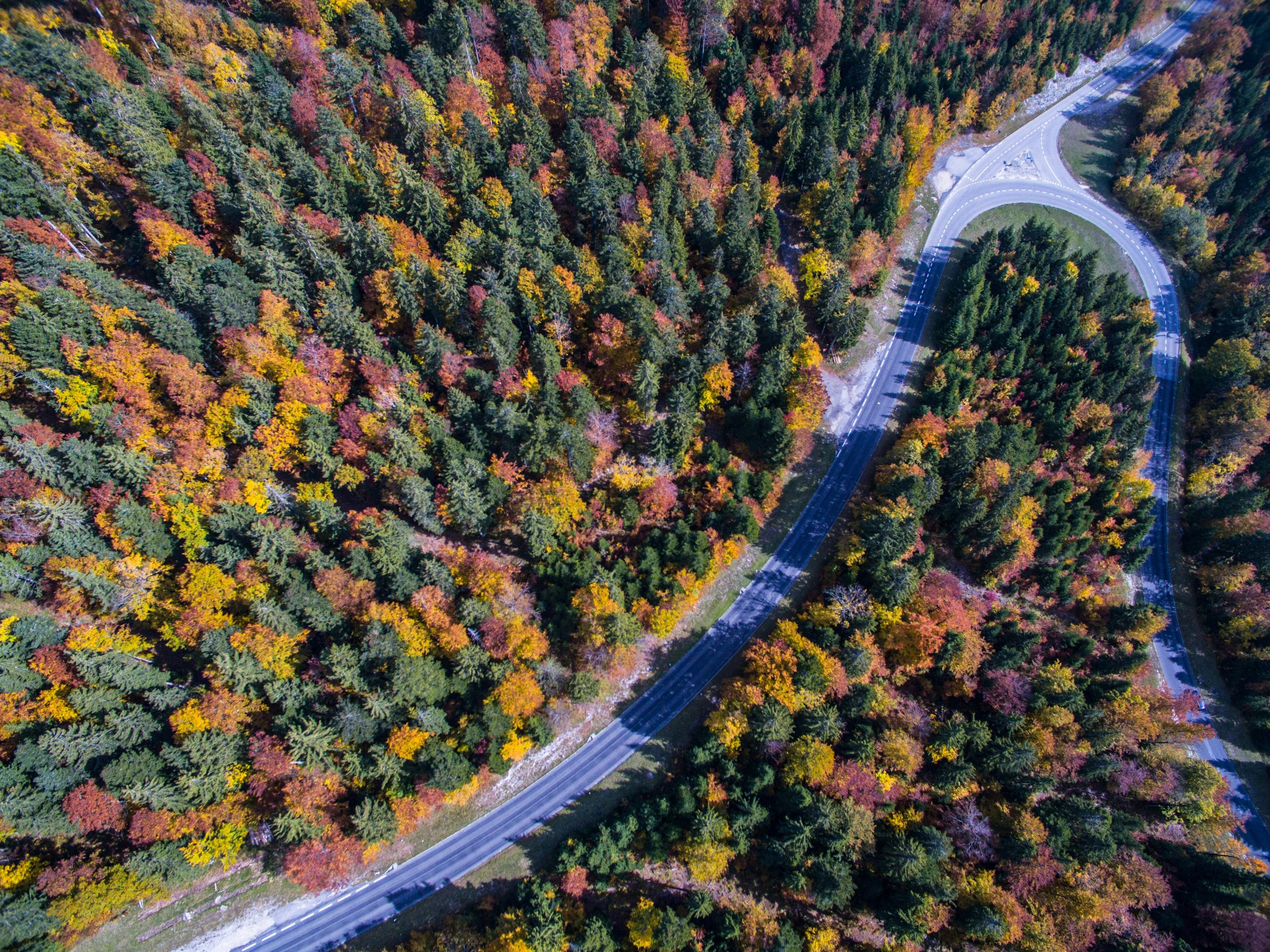Choosing the Best Tires for All Seasons