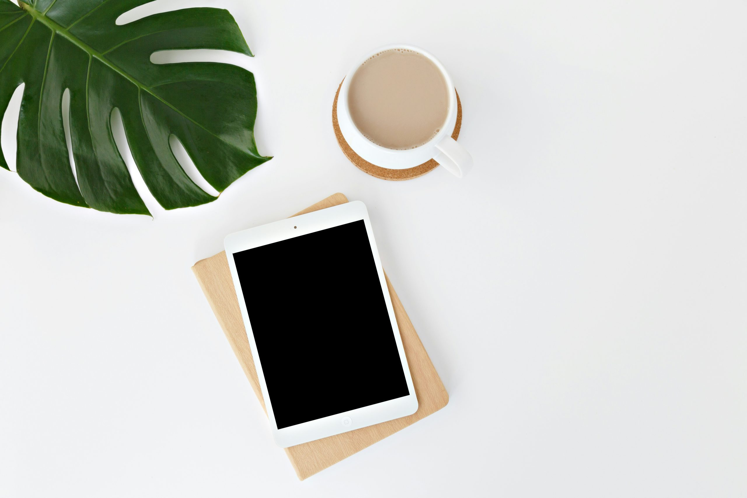 Libraries as Digital Learning Hubs