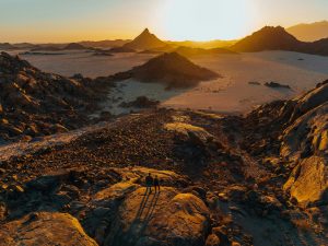 Adventure Vehicles for Outdoor Enthusiasts